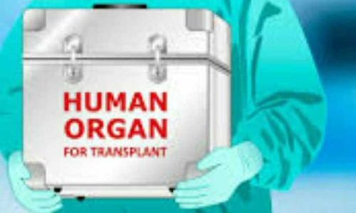 മസ്തിഷ്കമരണം സംഭവിച്ച സൗദി യുവതിയുടെ അവയവങ്ങൾ പുതുജീവിതമേകിയത് അഞ്ചുപേർക്ക്