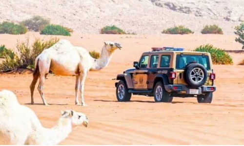 പാരിസ്ഥിതിക നിയമലംഘനങ്ങൾക്കെതിരെ നടപടികൾ ശക്തമാക്കി