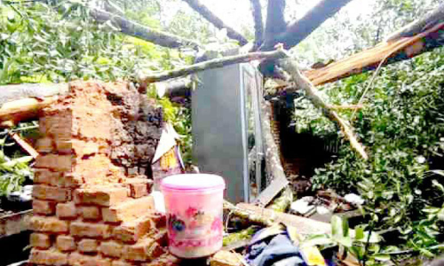 മരം വീണ് വീട് തകർന്നു