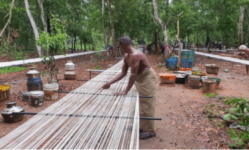 നോവിലും ഓണത്തെ വരവേൽക്കാനൊരുങ്ങി ബാലരാമപുരത്തെ പാക്കളങ്ങൾ നോവിലും ഓണത്തെ വരവേൽക്കാനൊരുങ്ങി ബാലരാമപുരത്തെ പാക്കളങ്ങൾ