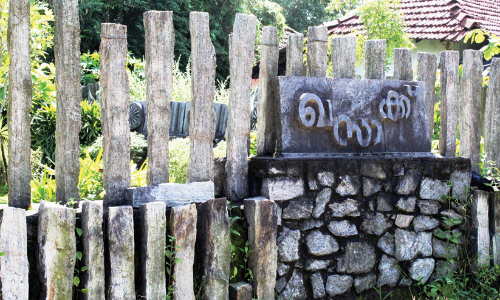 പാലക്കാടൻ കാറ്റിൽ...