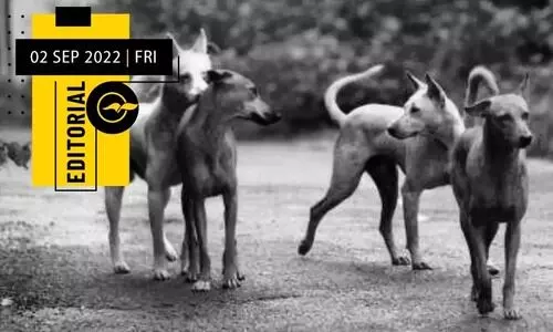 കേരളത്തിലെ പേവിഷബാധ മരണങ്ങൾ