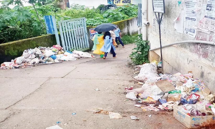 മാലിന്യക്കൂനയായി പനമരം