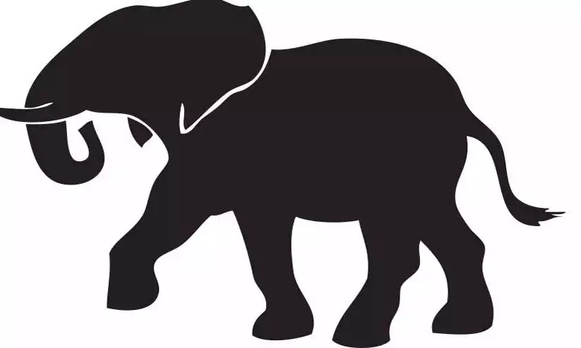 കാ​ട്ടാ​ന​ശ​ല്യം; ആ​ത്മ​ഹ​ത്യാഭീ​ഷ​ണി​യു​മാ​യി ​കർ​ഷ​ക​ൻ