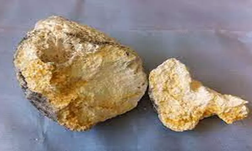 ambergris ambergris