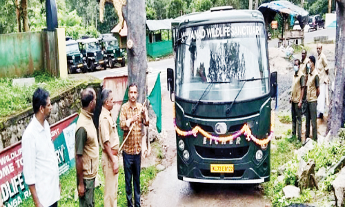 മുത്തങ്ങയിൽ കാനനസവാരിക്ക്  ബസുകൾ; ജീപ്പുകൾ പിൻവലിക്കും