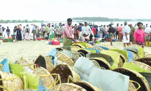 കയറ്റിറക്ക്; പൊന്നാനി ഹാർബറിൽ തൊഴിലാളികൾ തമ്മിൽ തർക്കം