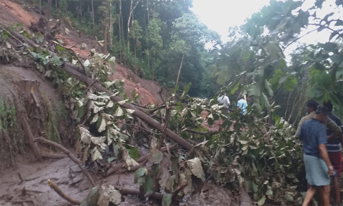 ആനക്കയം കൊട്ടമലയിൽ ഉരുള്‍ പൊട്ടൽ; വ്യാപക കൃഷിനാശം