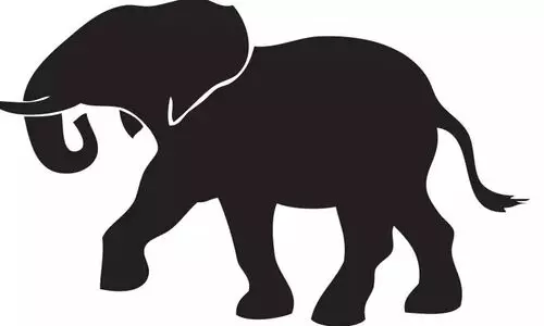 കാട്ടാനശല്യം; ആത്മഹത്യാഭീഷണിയുമായി കർഷകൻ കാട്ടാനശല്യം; ആത്മഹത്യാഭീഷണിയുമായി കർഷകൻ