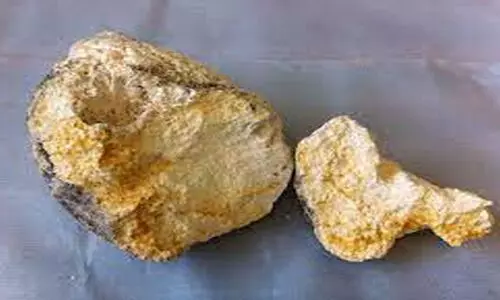 ambergris