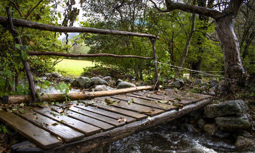 നാലുതോടിലെ തടിപ്പാലം അപകടാവസ്ഥയിൽ; യാത്രാദുരിതത്തില്‍ പ്രദേശവാസികള്‍