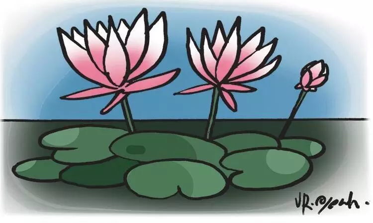 കുട്ടിക്കഥ: താമരപ്പൂവിന്‍റെ അഹങ്കാരം