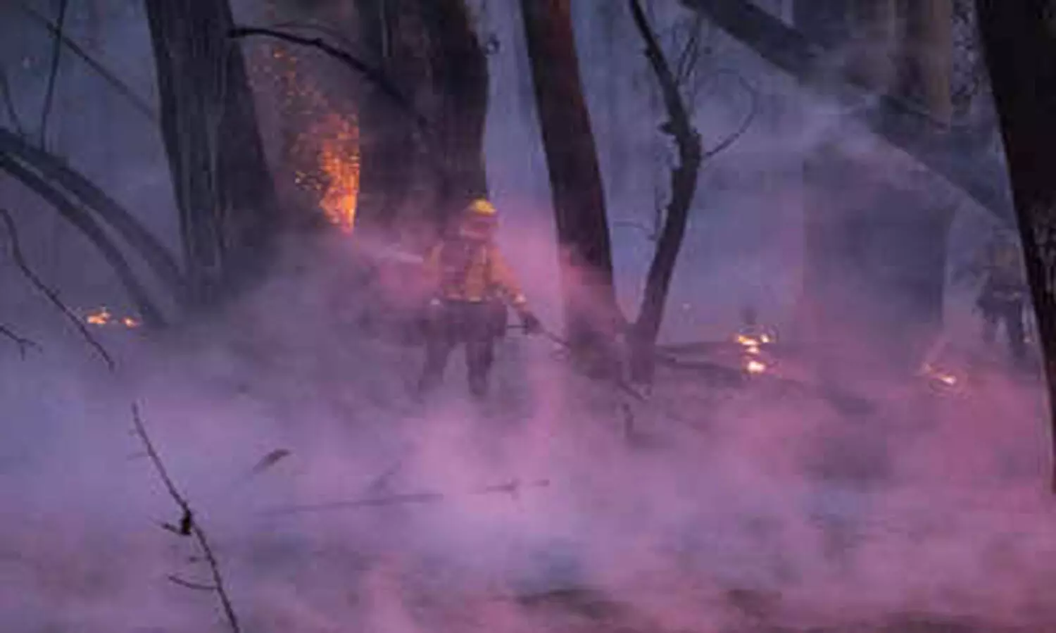 കാലിഫോർണിയയിൽ കാട്ടുതീ; ആയിരങ്ങളെ ഒഴിപ്പിച്ചു