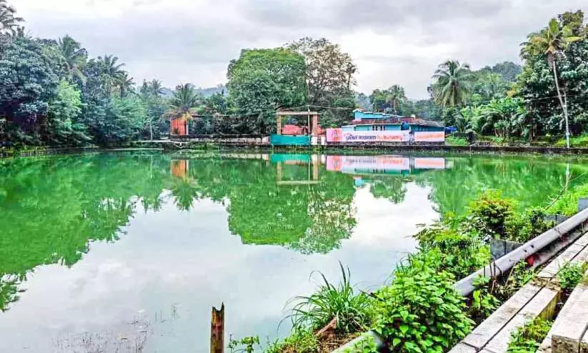 പള്ളിച്ചിറങ്ങര ചിറ ടൂറിസം പദ്ധതിക്കും ജീവൻ