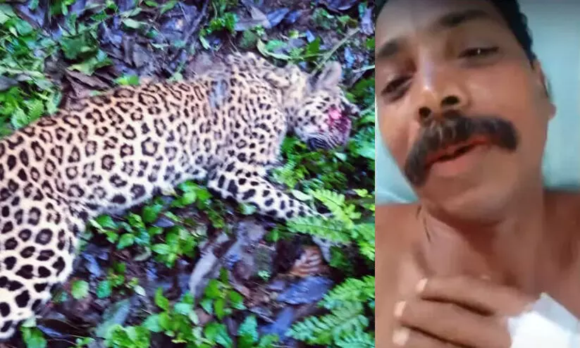 പുലിയെ വെട്ടിക്കൊന്ന ഗോപാലനെതിരെ കേസെടുക്കില്ല