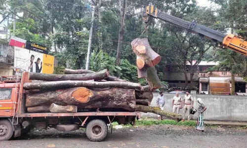 പുറമ്പോക്ക് ഭൂമിയിലെ ആഞ്ഞിലിമരം മുറിച്ചുകടത്തിയ പ്രതികള് പിടിയിൽ പുറമ്പോക്ക് ഭൂമിയിലെ ആഞ്ഞിലിമരം മുറിച്ചുകടത്തിയ പ്രതികള് പിടിയിൽ