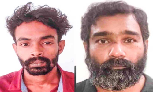 ആലുവയിൽ രണ്ട് മോഷ്ടാക്കൾ പിടിയിൽ