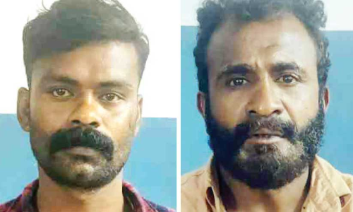 കഞ്ചാവ് വിൽപനയുടെ മുഖ്യസൂത്രധാരന്മാർ അറസ്റ്റിൽ