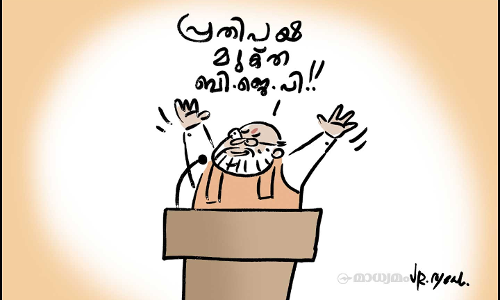 രാജ്യത്ത് ഭാവിയുള്ളത് ബി.ജെ.പിക്ക് മാത്രം -അമിത് ഷാ