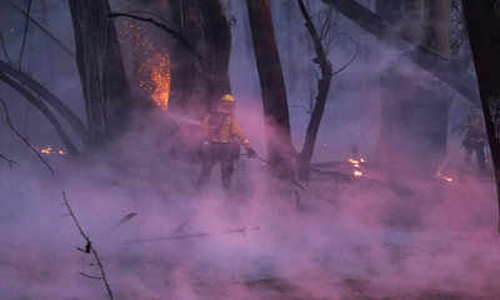 കാലിഫോർണിയയിൽ കാട്ടുതീ; ആയിരങ്ങളെ ഒഴിപ്പിച്ചു