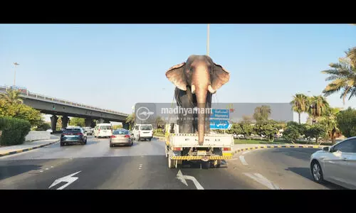 ബഹ്​റൈനിൽ വൈറലായി ഗജവീരൻ