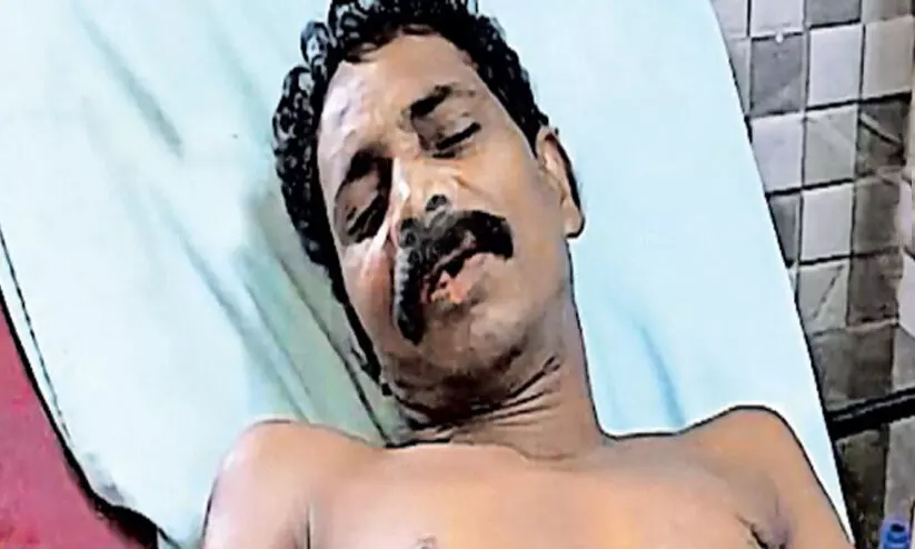 ഭയപ്പെട്ടിരുന്നെങ്കിൽ പുലി കൊന്നുതിന്നേനെ; മാങ്കുളത്തിന്റെ പുലിമുരുകൻ പറയുന്നു ഭയപ്പെട്ടിരുന്നെങ്കിൽ പുലി കൊന്നുതിന്നേനെ; മാങ്കുളത്തിന്റെ പുലിമുരുകൻ പറയുന്നു