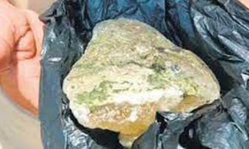 തിമിംഗല ഛർദിയുമായി പിടികൂടിയ പ്രതികളെ വനപാലകർ ചോദ്യം ചെയ്തു