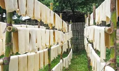 മൂന്ന് മാസത്തിനിടെ കുറഞ്ഞത് 29 രൂപ; റബർ വിലയിൽ വൻ ഇടിവ് മൂന്ന് മാസത്തിനിടെ കുറഞ്ഞത് 29 രൂപ; റബർ വിലയിൽ വൻ ഇടിവ്