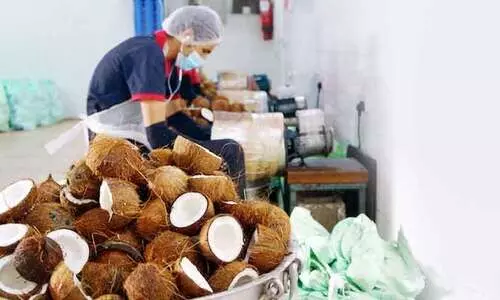 ചക്കിലാട്ടിയ വെളിച്ചെണ്ണ ഷാർജയിൽ കിട്ടും!