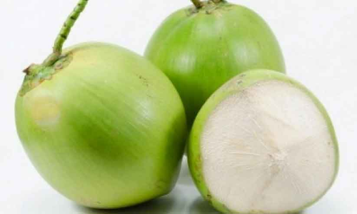 സൂപ്പർ ടേസ്റ്റിൽ ഇളനീർ ഷേക്ക്