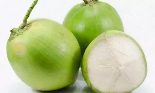 സൂപ്പർ ടേസ്റ്റിൽ ഇളനീർ ഷേക്ക്