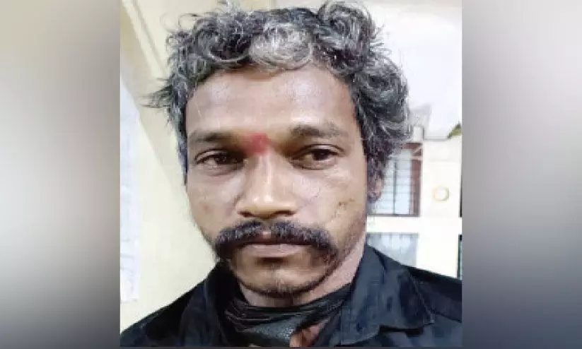 കഞ്ചാവ് ചെടികൾ വളർത്തിയ യുവാവ് അറസ്റ്റിൽ കഞ്ചാവ് ചെടികൾ വളർത്തിയ യുവാവ് അറസ്റ്റിൽ