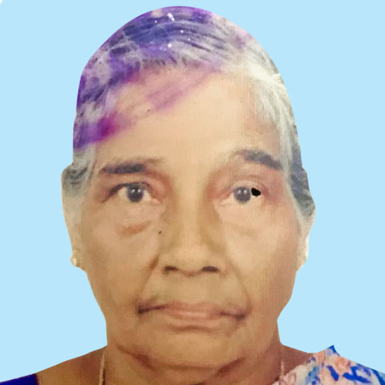 നാ​രാ​യ​ണി