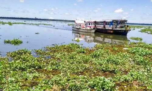 യാത്രക്കാരുമായി ബോട്ട് നടുക്കായലിൽ കുടുങ്ങി