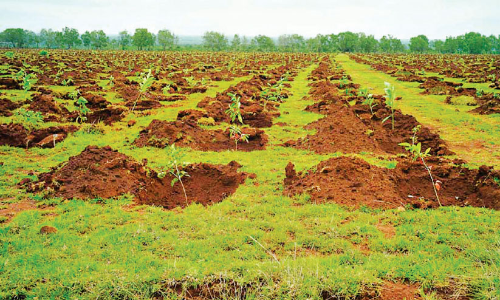 ഹെസർഘട്ട സംരക്ഷിത മേഖലയാവുമോ?