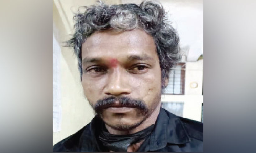 കഞ്ചാവ് ചെടികൾ വളർത്തിയ യുവാവ് അറസ്റ്റിൽ