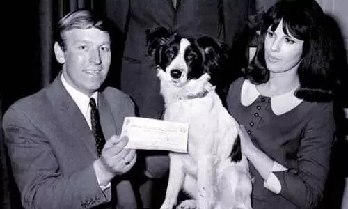 കള്ളൻ കൊണ്ടുപോയ കപ്പ്