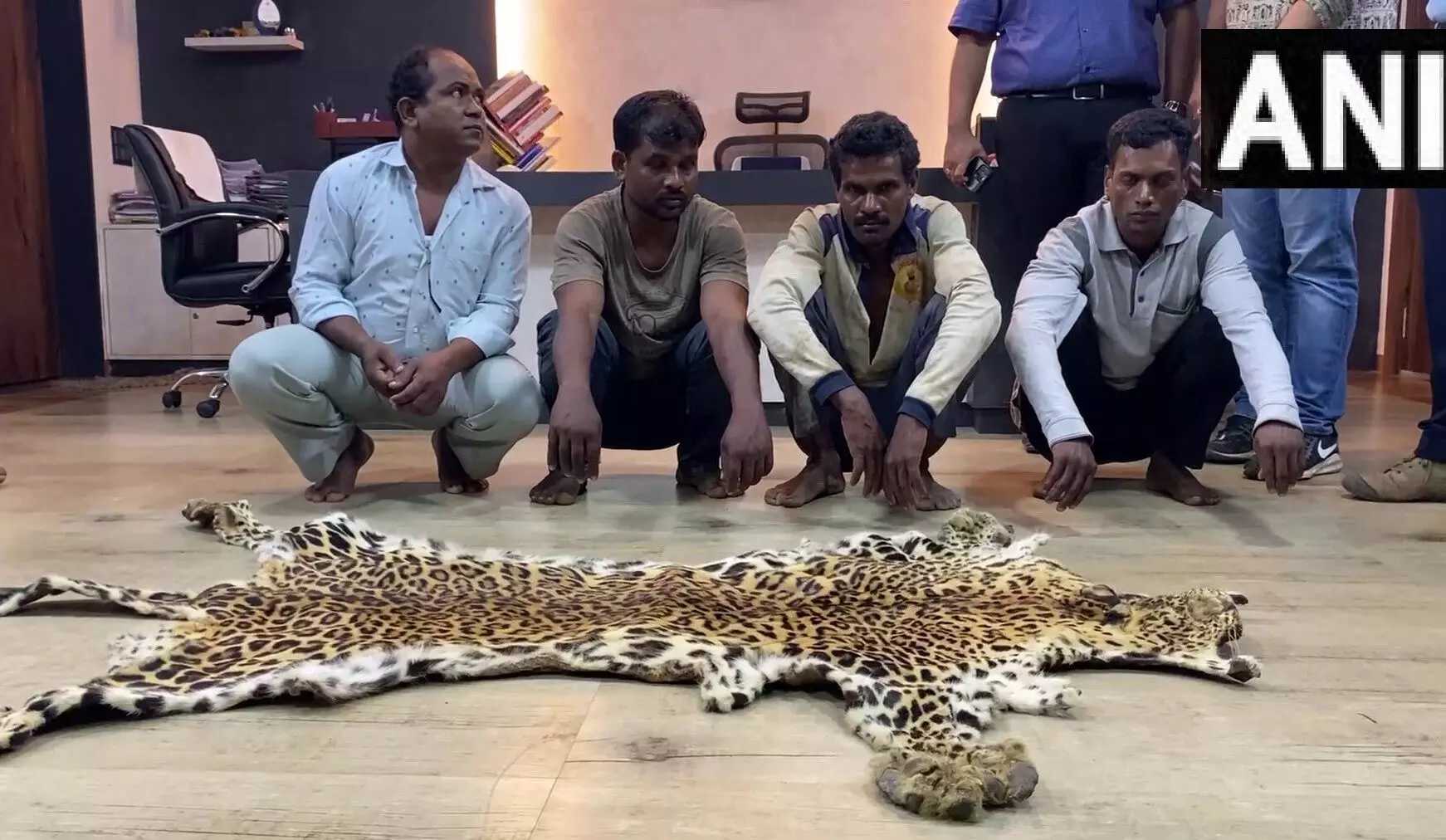 leopard skin leopard skin