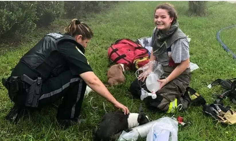 Amazon delivery agent rescues 3 puppies from burning home in Florida. See post