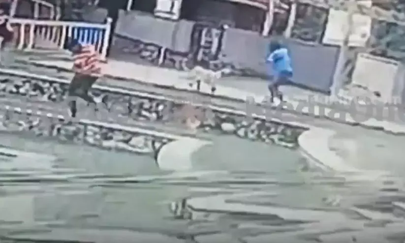 velliyamkallu 878658 velliyamkallu 878658