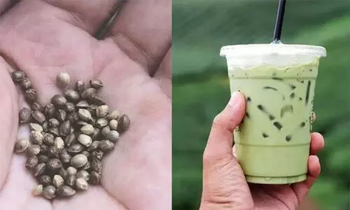 കഞ്ചാവ് ചെടിയുടെ കുരു ഉപയോഗിച്ച് ഷെയ്ക്ക് വില്‍പന; കേസെടുത്ത് പൊലീസ്