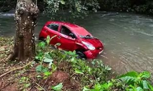 കോട്ടയത്ത് കാർ തോട്ടിലേക്ക് മറിഞ്ഞ് യുവാവ് മരിച്ചു