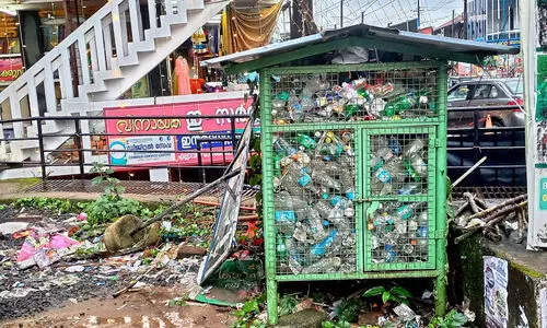 പനമരം ബസ്സ്റ്റാൻഡ് പരിസരം   കുപ്പത്തൊട്ടിയോ?