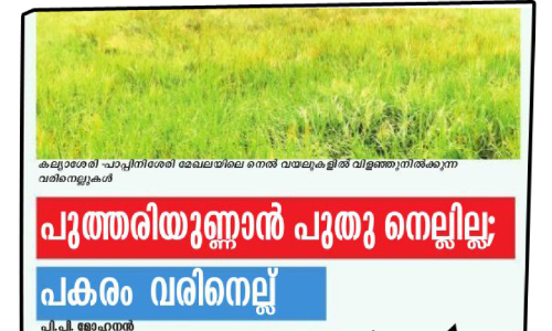 കർഷകർക്ക് നഷ്ടപരിഹാരം നൽകും