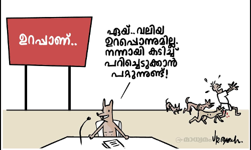 ഡോഗ്സ് ഓൺ കൺട്രി