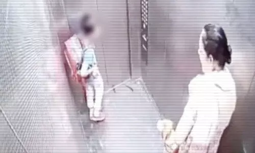 ലിഫ്റ്റിൽവെച്ച് വളർത്തുനായ കുട്ടിയെ കടിച്ചു, ഉടമ നോക്കിനിന്നു; ഒടുവിൽ ഉടമക്കെതിരെ കേസ്