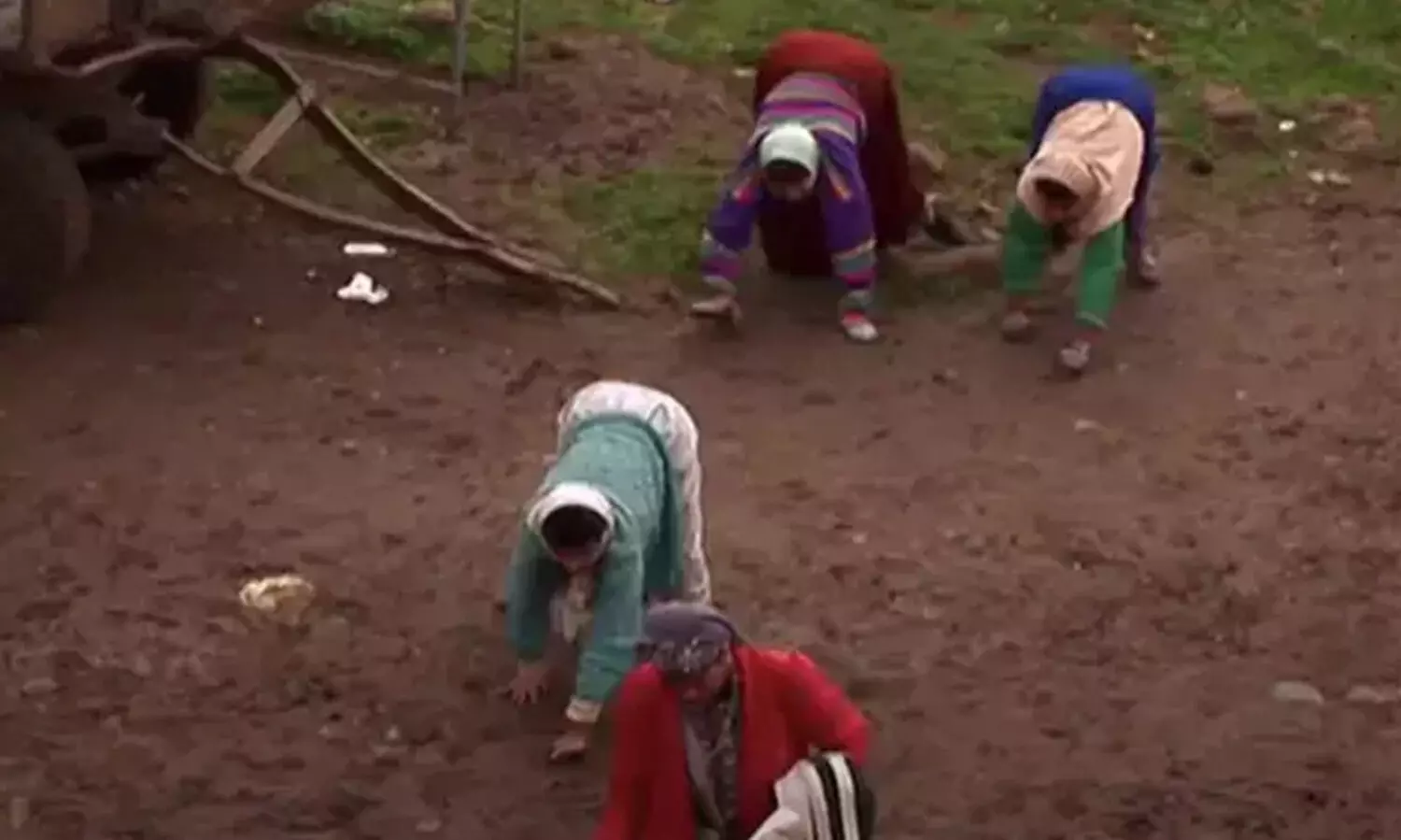 നാലു കാലിൽ നടക്കുന്ന കുടുംബം; ഉത്തരംമുട്ടി ശാസ്ത്രജ്ഞരും ഡോക്ടർമാരും