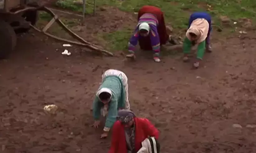 നാലു കാലിൽ നടക്കുന്ന കുടുംബം; ഉത്തരംമുട്ടി ശാസ്ത്രജ്ഞരും ഡോക്ടർമാരും നാലു കാലിൽ നടക്കുന്ന കുടുംബം; ഉത്തരംമുട്ടി ശാസ്ത്രജ്ഞരും ഡോക്ടർമാരും