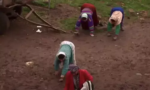 നാലു കാലിൽ നടക്കുന്ന കുടുംബം; ഉത്തരംമുട്ടി ശാസ്ത്രജ്ഞരും ഡോക്ടർമാരും