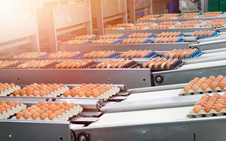 പ്രാദേശിക ഭക്ഷ്യോൽപാദന വ്യവസായം: സൗദി 9,100 കോടി റിയാൽ നിക്ഷേപിക്കും പ്രാദേശിക ഭക്ഷ്യോൽപാദന വ്യവസായം: സൗദി 9,100 കോടി റിയാൽ നിക്ഷേപിക്കും